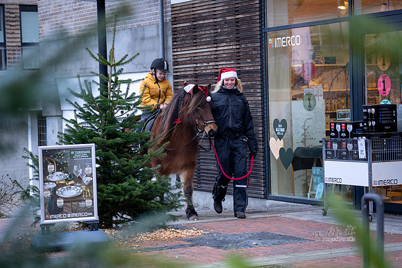 Jul i Ry-web - Fotograf_Per_Bille-20221211DSC08754