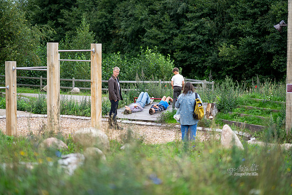 Flok-Web-Fotograf Per Bille-20260911AAA09648