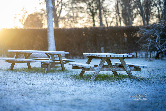 Vinter Ry-print-Fotograf Per Bille-20250103AAA05978