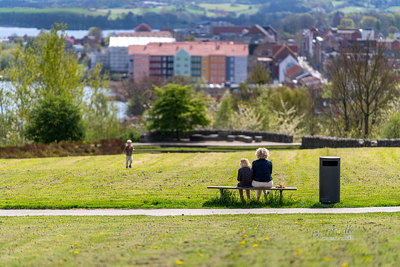 Skanderborg Bakker-web -fotograf Per Bille-20250426AAA01769