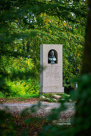 Himmelbjerg-web- Fotograf Per Bille-20261017-AAA03634