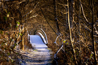Vinter Himmelbjergruten-web-Fotograf Per Bille-20250103AAA06222