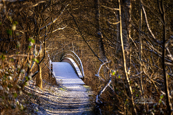 Vinter Himmelbjergruten-web-Fotograf Per Bille-20250103AAA06222