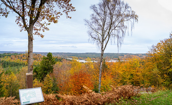 Store Knøs-web-Fotograf Per Bille 20251028-AAA05049-Pano