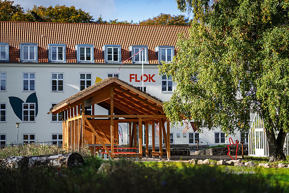 Flok-web- Fotograf Per Bille-20261017-AAA03398