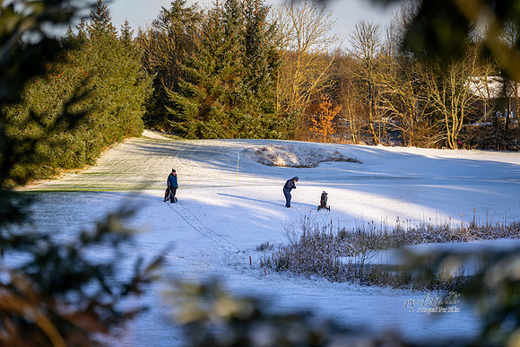 Vinter Golf-web-Fotograf Per Bille-20250103AAA06016