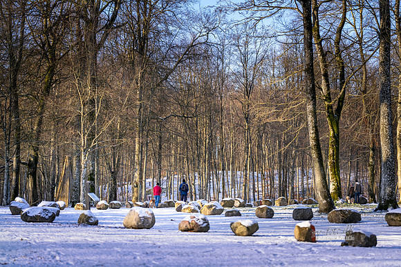 Vinter Skanderborg-web-Fotograf Per Bille-20250103AAA06318