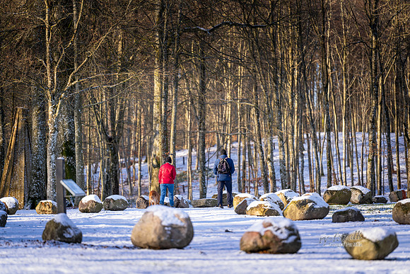 Vinter Skanderborg-web-Fotograf Per Bille-20250103AAA06316