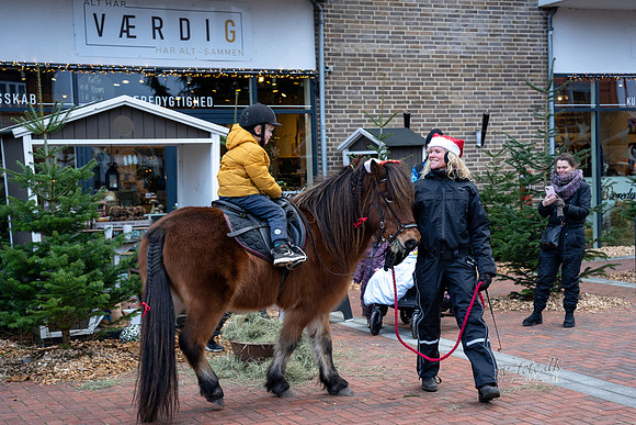 Jul i Ry-web - Fotograf_Per_Bille-20221211DSC08732