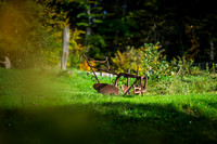 Vester Mølle-web- Fotograf Per Bille-20261017-AAA03492