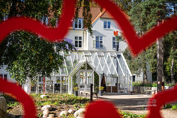 Flok-web- Fotograf Per Bille-20261017-AAA03415
