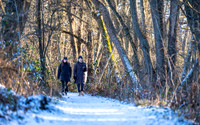 Ry Marina-web-Fotograf Per Bille 20260103-AAA02547