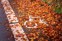 Cykelsti efterår-print-Fotograf Per Bille 20251103-AAA05802