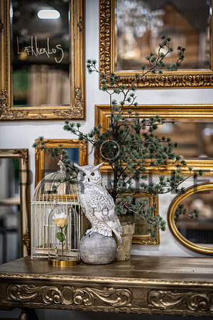 Silkeborg Forsyning-web - Fotograf_Per_Bille-20230524DSC02482-Edit