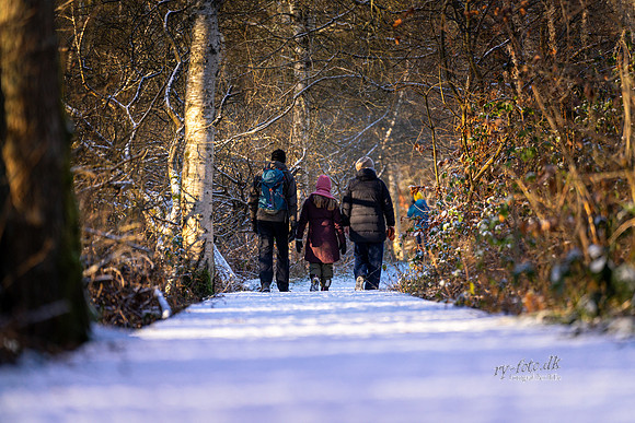 Vinter Himmelbjergruten-web-Fotograf Per Bille-20250103AAA06185
