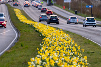 Skanderborg-print-fotograf Per Bille-20250407AAA06351