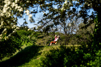Skanderborg slotskirke-print-fotograf Per Bille-20250519AAA07058-Edit