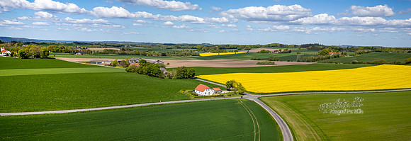Rapsmark-web-fotograf Per Bille-20250505DJI_0487