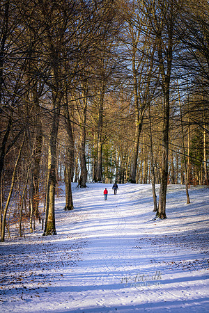 Vinter Skanderborg-web-Fotograf Per Bille-20250103AAA06327