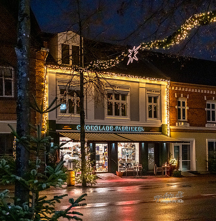 Jul i Skanderborg-web-Fotograf Per Bille 20251204-DSCF1197