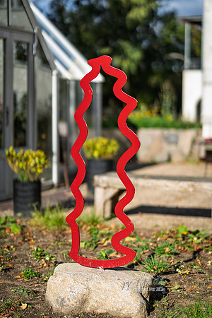 Flok-web- Fotograf Per Bille-20261017-AAA03466