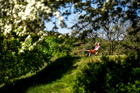 Skanderborg slotskirke-web -Fotograf Per Bille-20250519-AAA07060-Edit