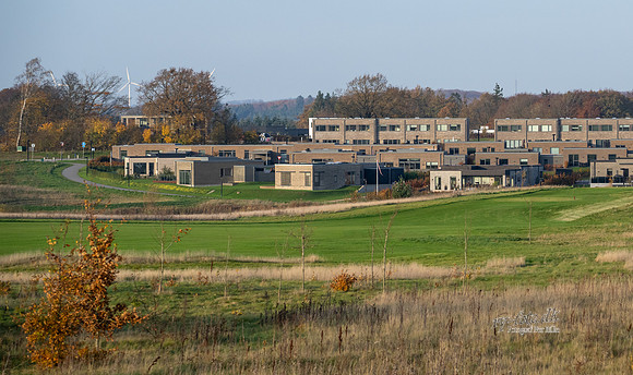 Kildebjerg, Ry-web - Fotograf Per Bille-20211102-DSC03933