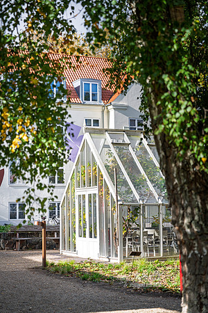 Flok-web- Fotograf Per Bille-20261017-AAA03417