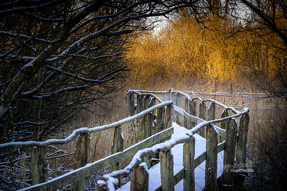 Vinter Skanderborg-print-Fotograf Per Bille-20250103AAA06363
