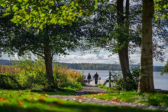 Vester Mølle-web- Fotograf Per Bille-20261017-AAA03526