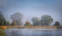 Skanderborg Sø-web- Fotograf Per Bille-20261019-DSC05110