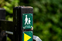 Boes-web - Fotograf Per Bille-20250717-AAA00947