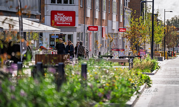 Adelgade-web- Fotograf Per Bille-20261017-AAA03368