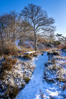 Vinter Galjebakken-print-Fotograf Per Bille-20250103AAA06099