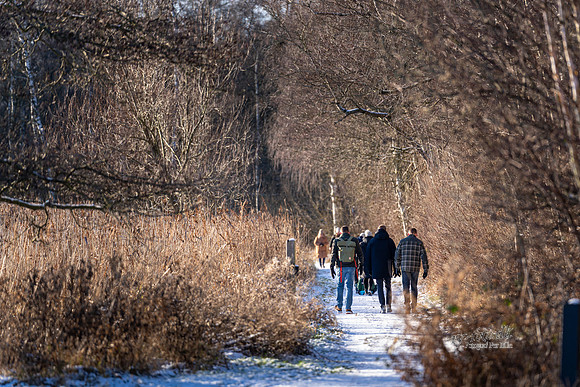 skanderborg Søbad-web-Fotograf Per Bille 20260103-AAA02690