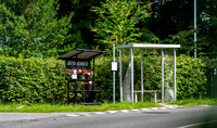 Boes-web - Fotograf Per Bille-20250717-AAA00940