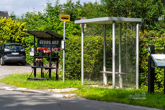 Boes-web - Fotograf Per Bille-20250717-AAA00944