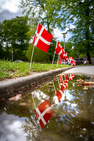 Flok 1 år-web-fotograf Per Bille-20250504AAA02168