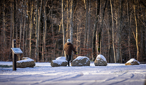 Vinter Skanderborg-web-Fotograf Per Bille-20250103AAA06298