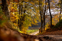 Efterår - Ravnsø-web-Fotograf Per Bille-20241102DSC03700