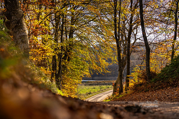 Efterår - Ravnsø-web-Fotograf Per Bille-20241102DSC03700