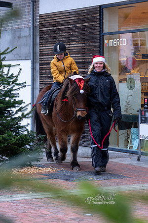Jul i Ry-print - Fotograf_Per_Bille-20221211DSC08759