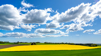 Rapsmark-web-fotograf Per Bille-20250505DJI_0466