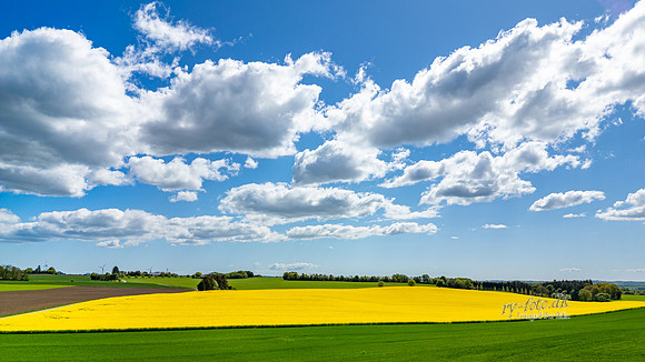 Rapsmark-web-fotograf Per Bille-20250505DJI_0466