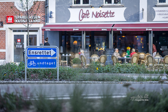 -web- Fotograf Per Bille-20261012-AAA02891