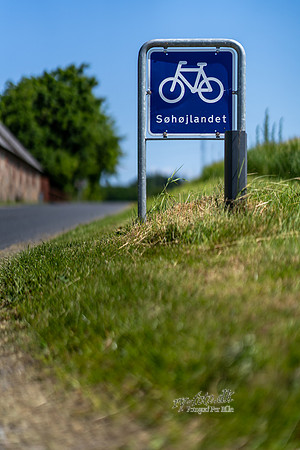 Cykelrute, Søhøjlandet-web - Fotograf Per Bille-20250620-AAA09451