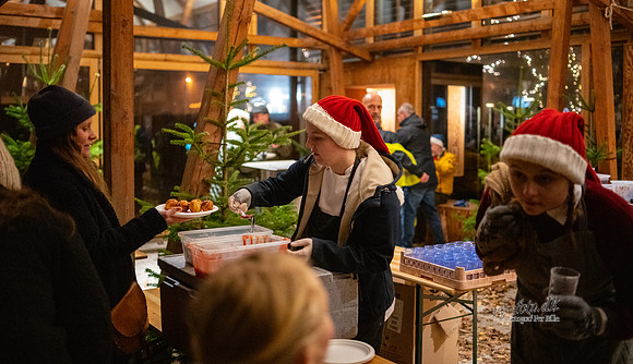 Juletræstænding Ry-print -Fotograf_Per_Bille-20221126DSC07046