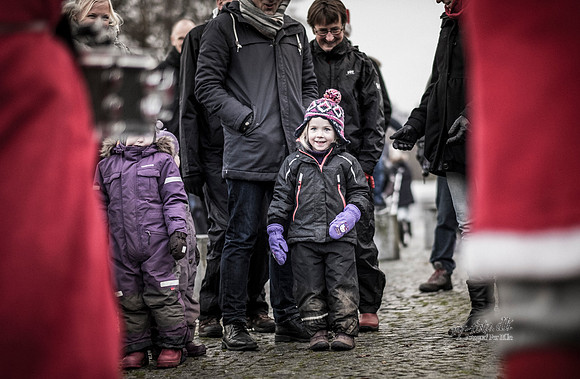 Juletræstænding-20151129-3067