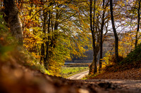 Efterår - Ravnsø-print-Fotograf Per Bille-20241102DSC03700