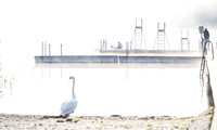 skanderborg Søbad-web- Fotograf Per Bille-20261019-DSC05086